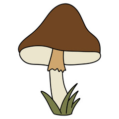 mushroom color design illustration for web, wedsite, application, presentation, Graphics design, branding, etc.