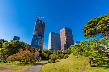 Fototapeta premium 旧芝離宮恩賜庭園と浜松町のオフィスビル群