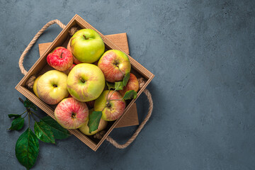 Ripe, juicy, organic apples on a gray-blue background. Top view, copy space.