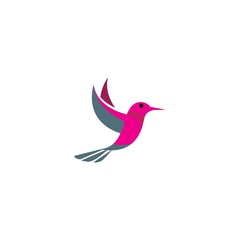 Bird logo vector and images