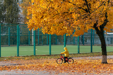 Child in a yellow raincoat on a bicycle under a large yellow tree. Sunny autumn day