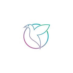 Bird logo vector and images