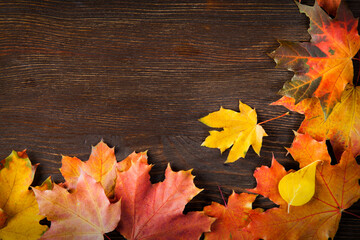 autumn leaf frame for words and inscriptions, copy space