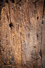 Texture old wood background.