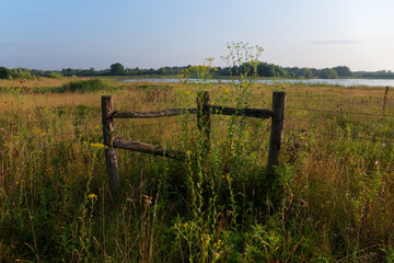 Pond and wild flowers in La Bassée national nature reserve. Ile-de-France region