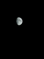 moon in the sky © Timo