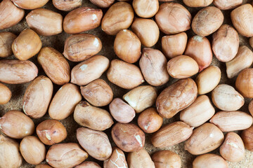 Peanut  background.