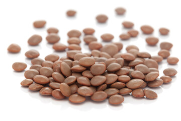 Micro close-up and details of brown  organic Indian masoor dal or Lentil  (Lens culinaris)  whole Bean isolated over white background