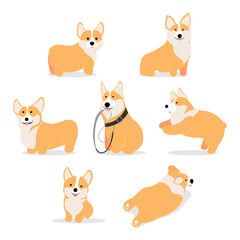 Cute corgi puppies isolated on white backgound Vector