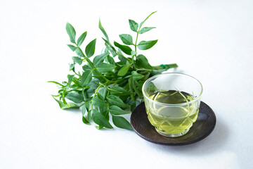 冷たい緑茶とソケイ（コモンジャスミン）のグリーンブーケ