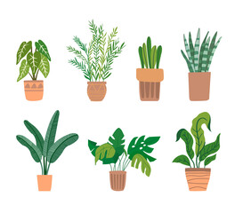 Set of office plants in pots Vector