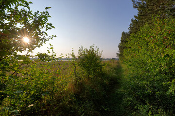 Obraz premium hiking path in La Bassée National Nature Reserve. Île-de-France region