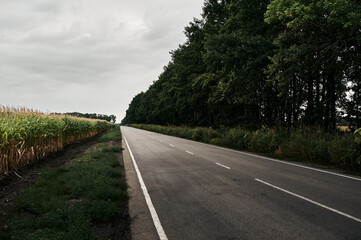 Asphalt country road, cloudy weather before rain