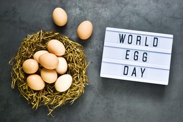 Light box with text WORLD EGG DAY and raw brown chicken eggs in a nest on a gray background. Natural healthy nutrition and organic food concept. World egg day holiday. Copy space, flat lay.