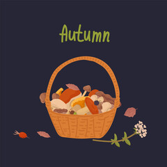 Basket with wild mushrooms. The inscription Autumn, in a circle of foliage, mushrooms, basket, nature on a dark background. A postcard for mushroom lovers. Vector illustration