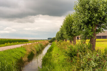 Fototapeta na wymiar Picturesque Dutch landscape with a country road, a ditch and a row of trees. The photo was taken in the province of North Brabant on a cloudy day in the summer season.