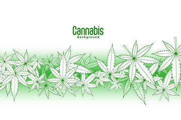 floating marijuana leaves on white background