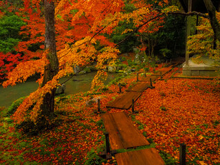 【京都】蓮華寺の紅葉