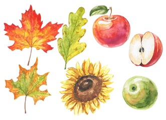 Fall season, autumn leaves and apples on white background.