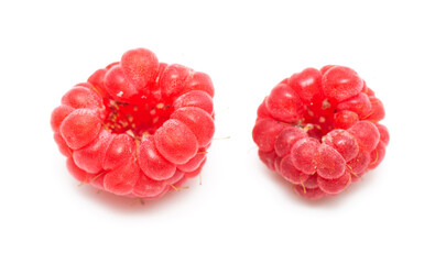 Red raspberries on a white background.