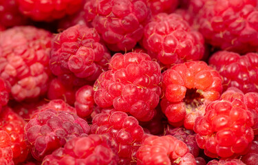 Red ripe raspberries as background.