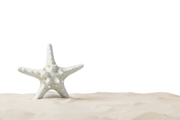 Fototapeta na wymiar Beautiful sea star in sand on white background