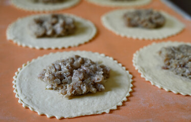 Step by step instructions. Step five. How to make a puff pastry product with meat at home. Put the finished minced meat on the cut pieces of dough. Dough on a silicone mat. Shallow depth of field.