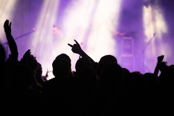 Crowd at concert - summer music festival