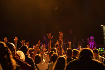 Obraz na płótnie Canvas Crowd at concert - summer music festival