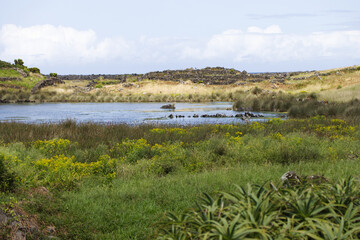 The Faja dos Cubres lagoon in the island of Sao Jorge, Azores