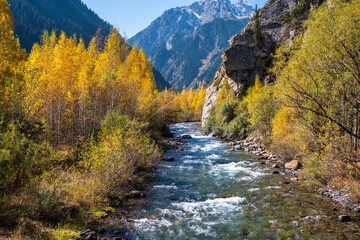 Fototapeta na wymiar mountain river in autumn