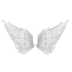 Angel Feather Wings Vector Illustration
