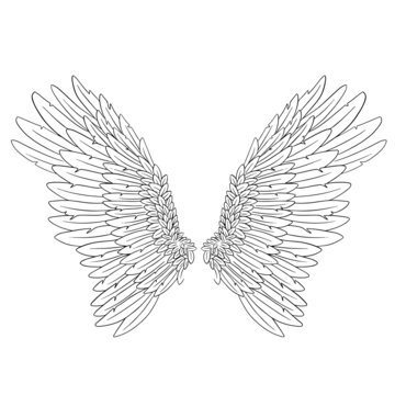 Angel Feather Wings Vector Illustration