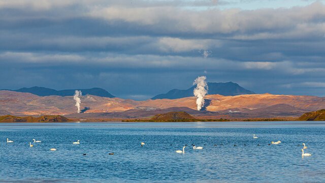 Volcanic landscape in the north of Iceland: lake Myvatn with volcanoes and steaming geothermal vents in the background