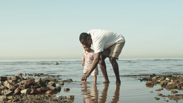 Slowmo shot of African-American man and his little son standing with feet in water at beach on sunny day, looking at pebble stones and throwing them in water