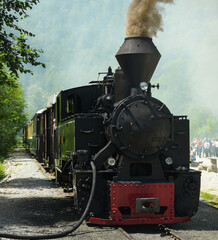 Naklejka premium Old romanian train still transporting people in for recreative purposes. The vintage locomotive works with coal, delivering lots of black steam on its chimney. Maramures, Romania.