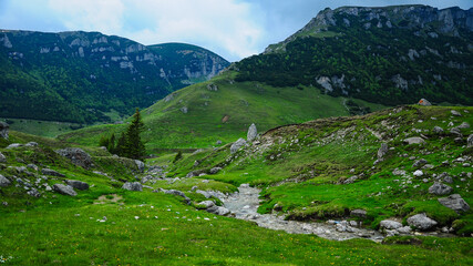 Fototapeta na wymiar Alpine landscape in Bucegi Mountains. A small stream flows along an alpine pasture, surrounded by massive rocky crests. Rainy day. Carpathia, Romania.