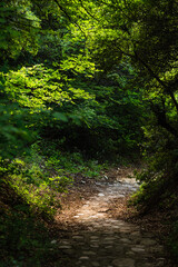 Fototapeta premium ギリシャ メテオラのアギア・トリアダ修道院までのトレッキングコース