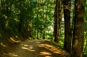 Ruta del agua de Santesteban, Navarra