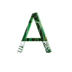 Letter A alphabets colorful texture 3D abstract beautiful white background