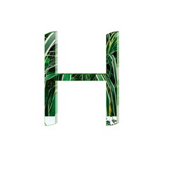 Alphabet letter H colorful texture 3D green abstract beautiful white background