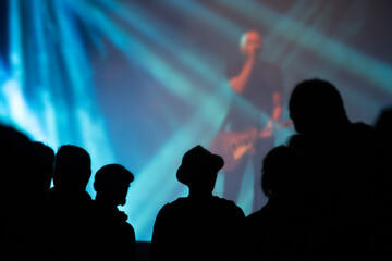 Crowd at concert - summer music festival