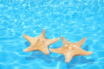 Fototapeta na wymiar Beautiful sea stars on clear blue water