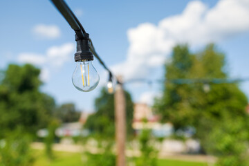 Decoratively designed street lighting in the form of exposed bulbs.