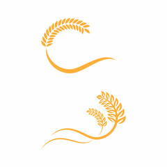 Agriculture wheat vector icon design
