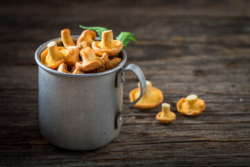 Noble and yellow mushrooms. Healthy mushrooms straight from forest.