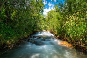 Obraz premium stream in the forest