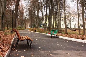 bench in the park