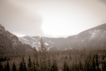fog in the mountains