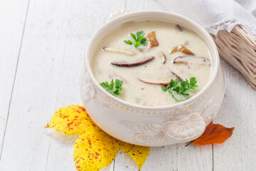 Tasty boletus cream with parsley and cream. Creamy mushroom soup.